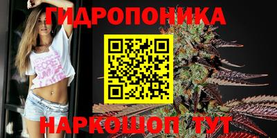 кокс Гусев