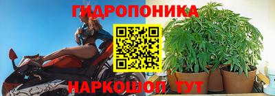 кокс Гусев