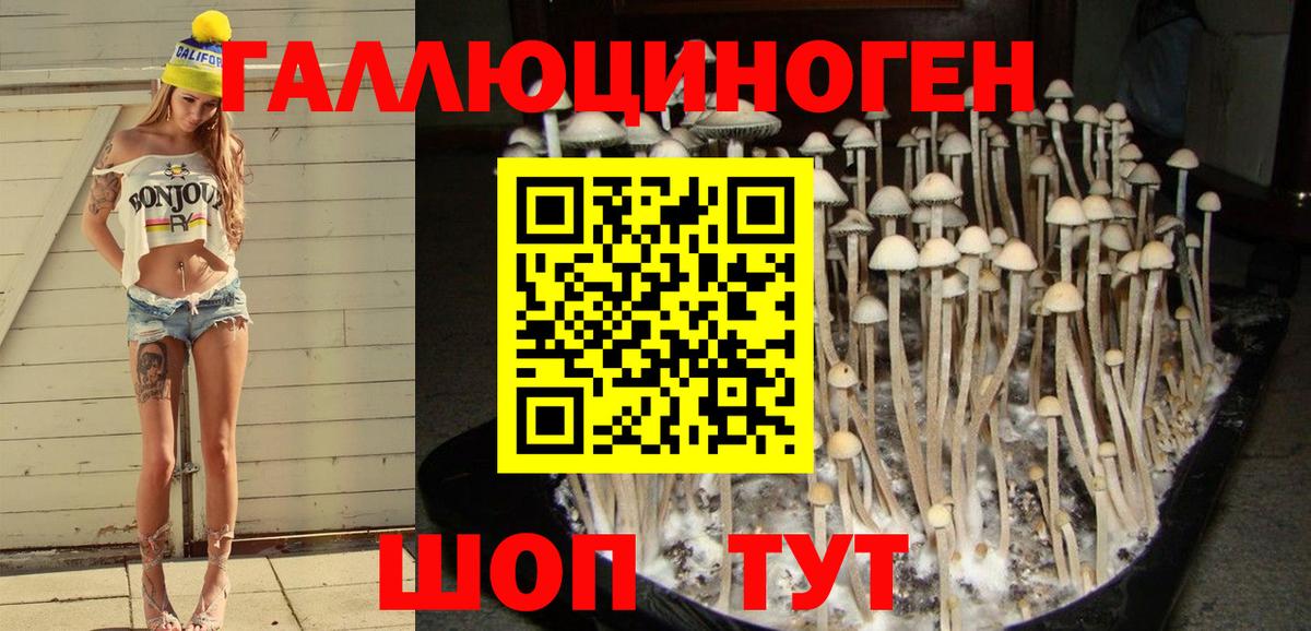 Миллерово  Галлюциногенные грибы прущие грибы  Вход с VPN  Псилоцибиновые грибы ЛСД 